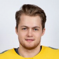 Нюландер Вильям