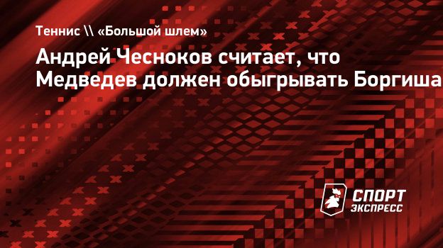 Андрей Чесноков считает, что Медведев должен обыгрывать Боргиша.  Спорт-Экспресс