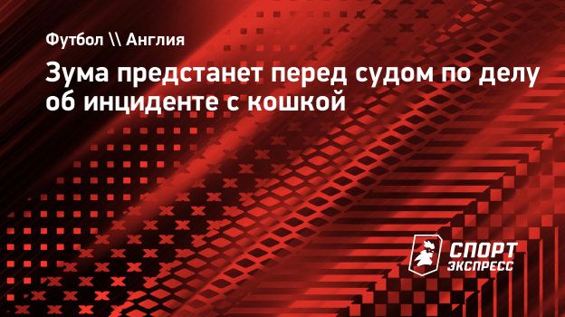 Зума предстанет перед судом по делу об инциденте с кошкой. Спорт-Экспресс