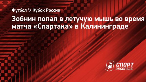 Зобнин попал в летучую мышь во время матча «Спартака» в Калининграде.  Спорт-Экспресс