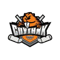 Спутник