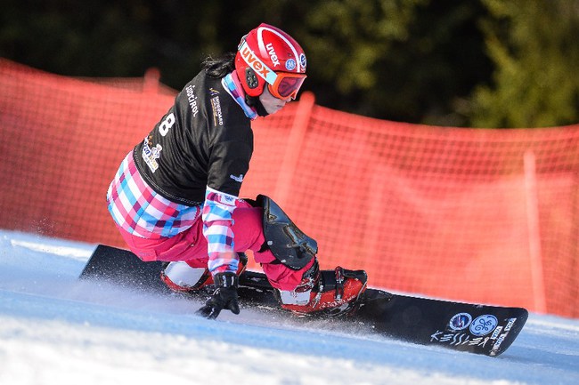 Fis Snowboard Slalom