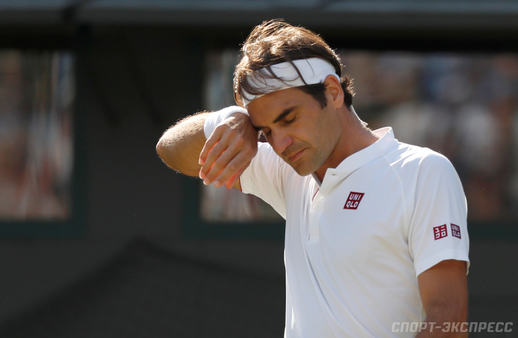Медведев — Нисикори прогноз ATP 7 октября картинки Медведев — Нисикори прогноз ATP 7 октября картинки