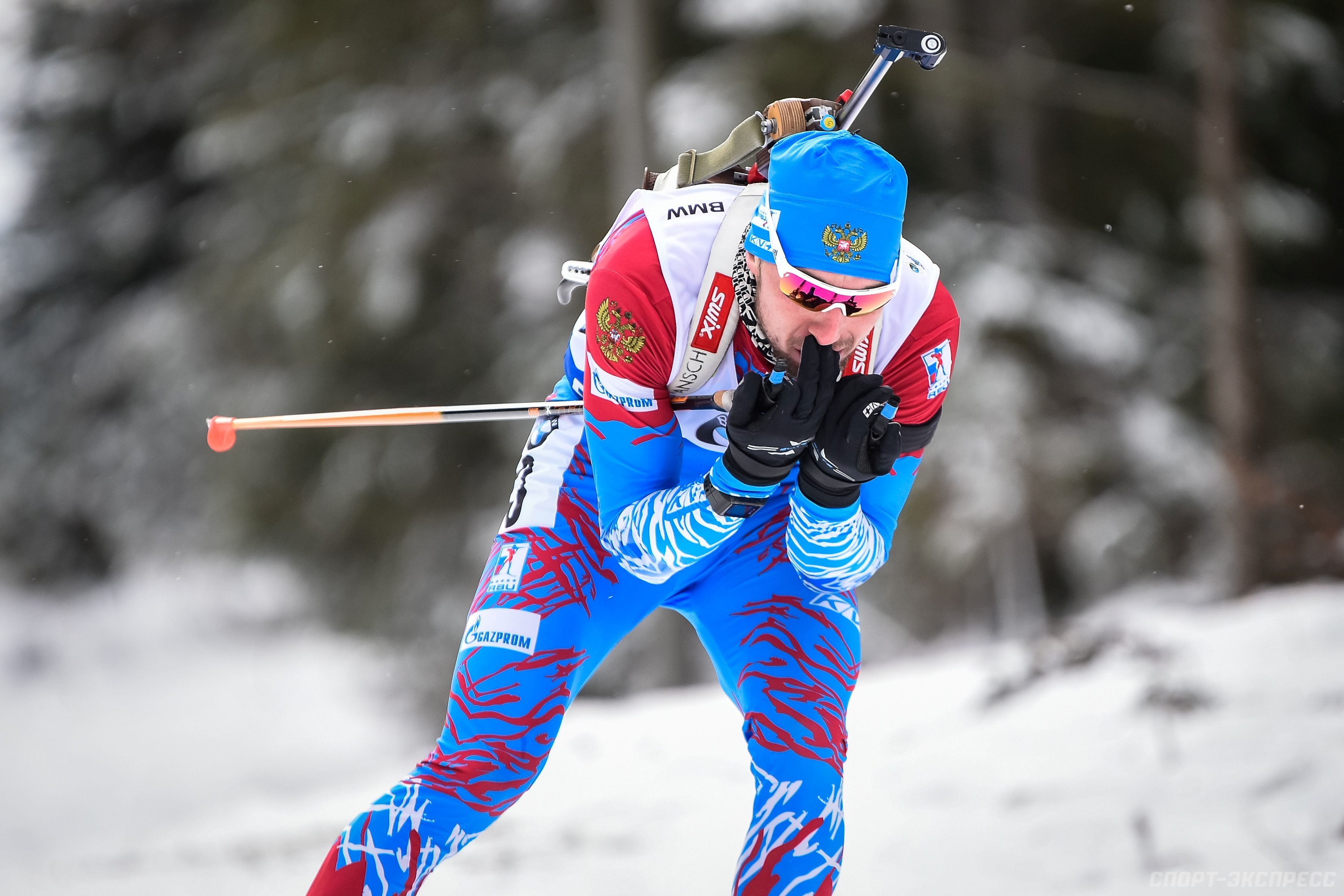 Чемпионат мира по биатлону 2019 изображения Чемпионат мира по биатлону 2019 изоражения