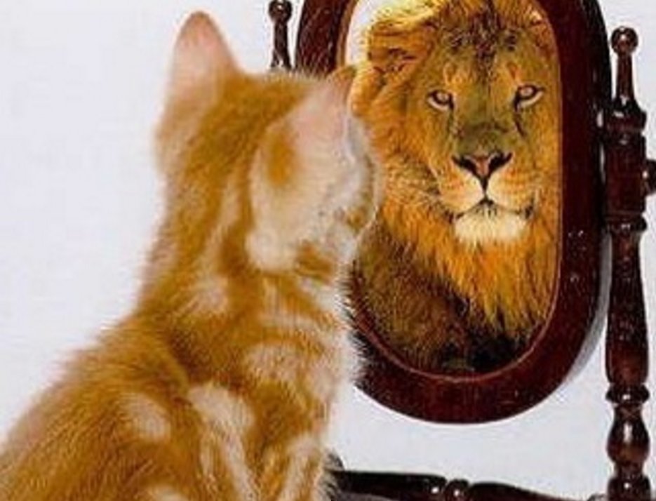 В зеркале — лев, в жизни — котенок. Слуцкий — про Дзюбу. Спорт-Экспресс