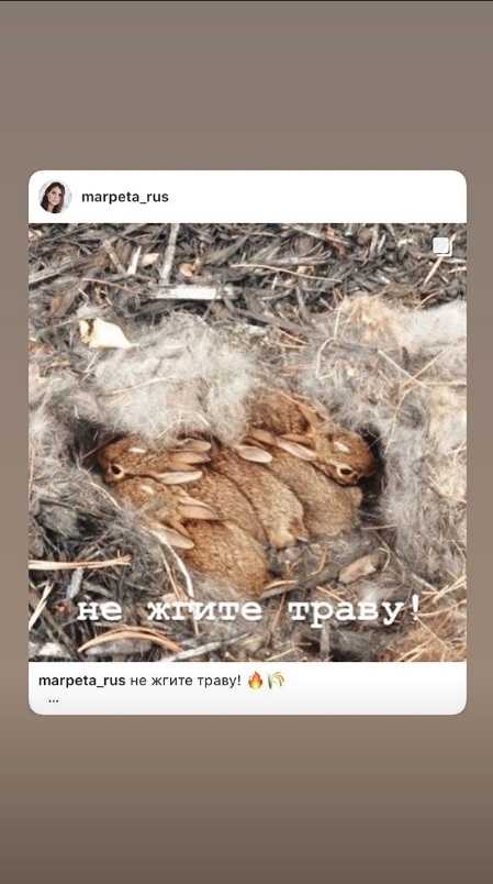 Канакина призывала людей не жечь сухую траву. Фото Instagram. Канакина призывала людей не жечь сухую траву. Фото Instagram.