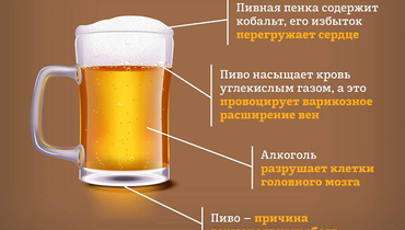 пиво холодное можно пить