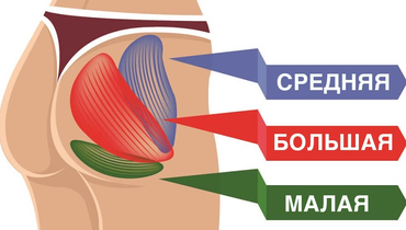 как почувствовать ягодицы во время тренировки. Смотреть фото как почувствовать ягодицы во время тренировки. Смотреть картинку как почувствовать ягодицы во время тренировки. Картинка про как почувствовать ягодицы во время тренировки. Фото как почувствовать ягодицы во время тренировки