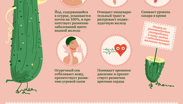По чем огурцы на рынке. Смотреть фото По чем огурцы на рынке. Смотреть картинку По чем огурцы на рынке. Картинка про По чем огурцы на рынке. Фото По чем огурцы на рынке