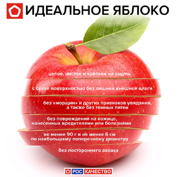 Заговор на яблоко: любовь и здоровье в одном флаконе | VK