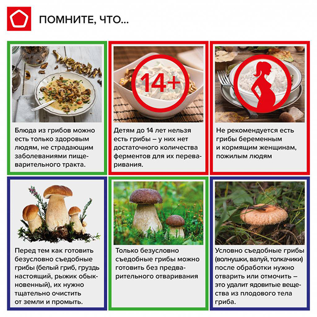 отрицательные свойства грибов