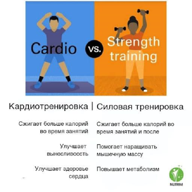 Кардиотренировки или силовые тренировки — что лучше для организма? Спорт-Экспресс