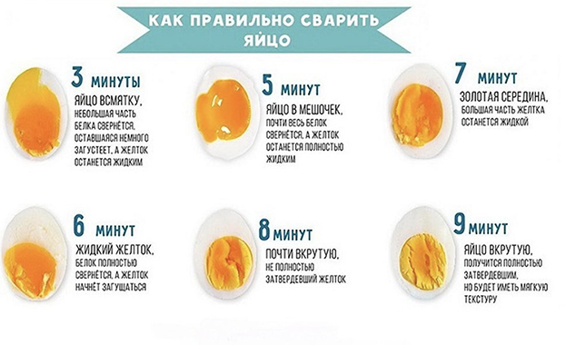 10 удивительных фактов о яичках, которые ты не знала и стеснялась спросить