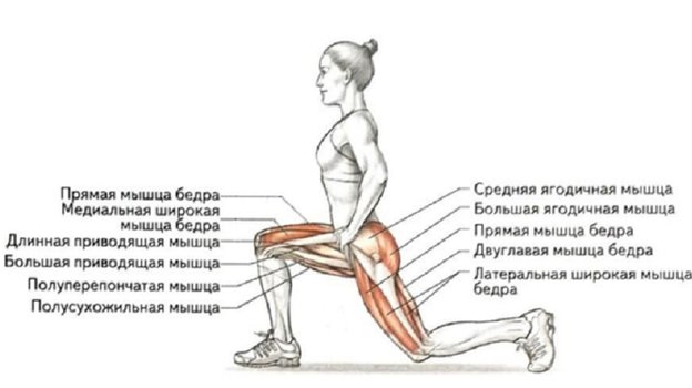 Упражнения с резинкой для женщин в домашних условиях для ягодиц, ног и пресса. Спорт-Экспресс