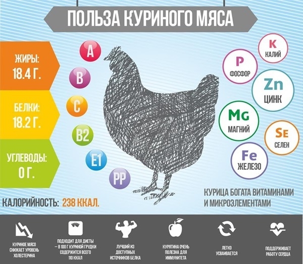 Курица: польза и вред для человека, мясо, что будет, если есть каждый день,  похудение. Спорт-Экспресс