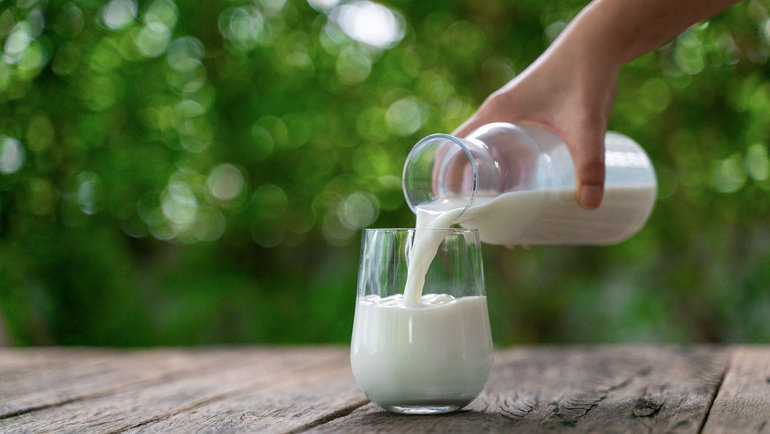 Польза молока для организма