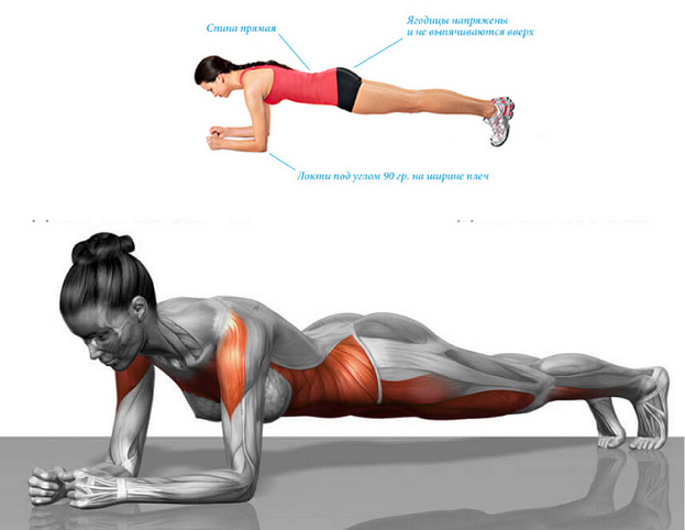 Упражнение планка для чего и каких мышц