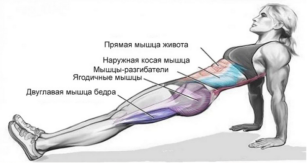 Упражнение планка для чего и каких мышц