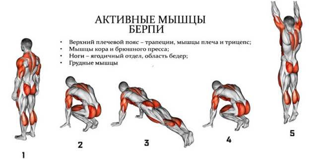 burpees suck что значит. Смотреть фото burpees suck что значит. Смотреть картинку burpees suck что значит. Картинка про burpees suck что значит. Фото burpees suck что значит