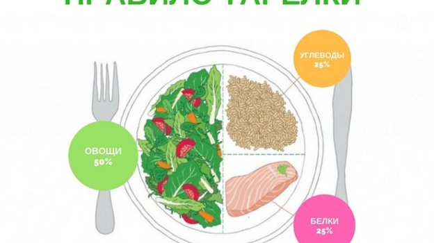 Правило тарелки. Фото econet.ru