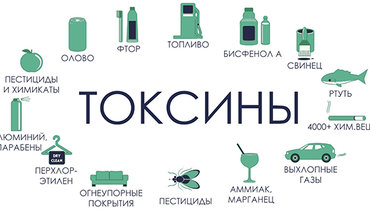 Детокс что это значит. Смотреть фото Детокс что это значит. Смотреть картинку Детокс что это значит. Картинка про Детокс что это значит. Фото Детокс что это значит