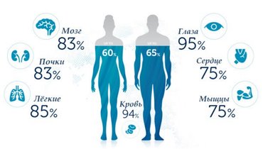 сколько в день человек должен выпить воды. Смотреть фото сколько в день человек должен выпить воды. Смотреть картинку сколько в день человек должен выпить воды. Картинка про сколько в день человек должен выпить воды. Фото сколько в день человек должен выпить воды