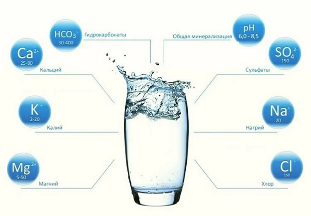Значение воды для человека