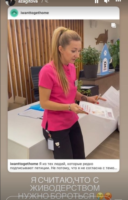 Загитова отреагировала на зверское убийство кота в Северодвинске. Фото Instagram Загитова отреагировала на зверское убийство кота в Северодвинске. Фото Instagram