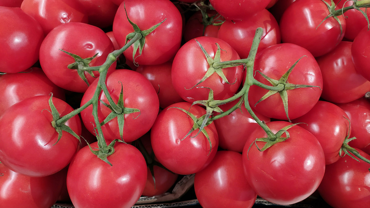 Польза и вред сока из помидоров (томатного)