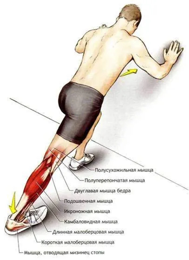 Упражнения для стоп: разминка и растяжка голеностопа. Спорт-Экспресс