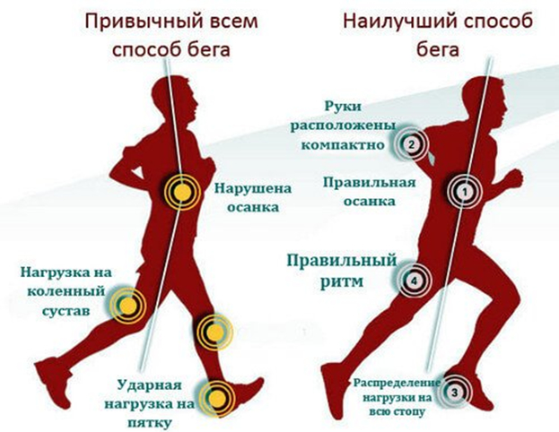 что посмотреть на беговой дорожке