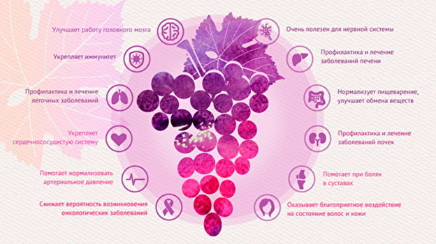 Полезные свойства винограда. Фото Спутник.Узбекистан