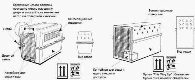 Магазин Умный Ребенок