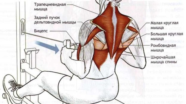 ������ �����: ����.