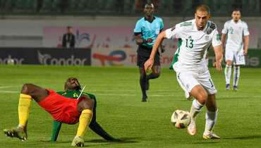 Сборная Алжира хочет запросить переигровку матча плей-офф отбора на ЧМ-2022 против Камеруна