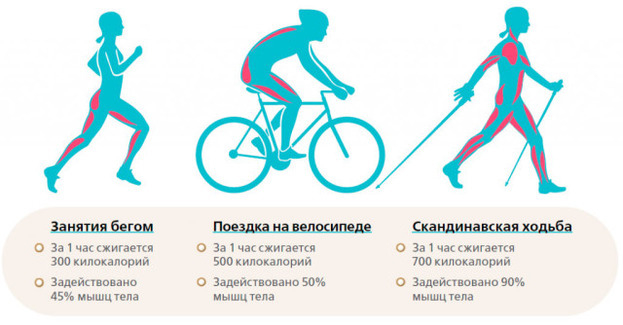 Эффективные виды спорта для похудения. Фото gcmp.ru