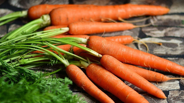 Морковь: когда и как правильно ее сажать — чем полезен овощ. Спорт-Экспресс