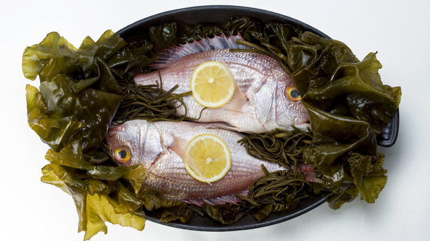 Салаты из морской капусты — рецепты простые и вкусные