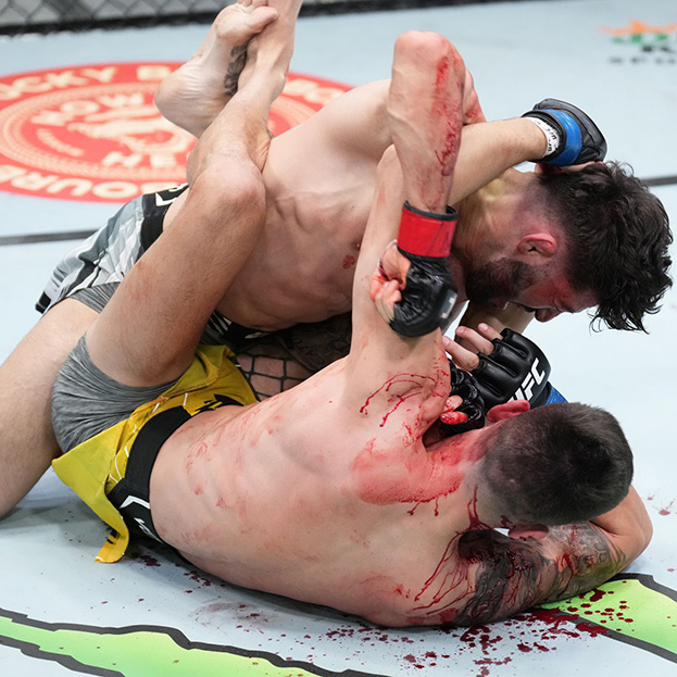 Царукян забивает Альвареса локтями из гарда. Фото UFC Царукян забивает Альвареса локтями из гарда. Фото UFC