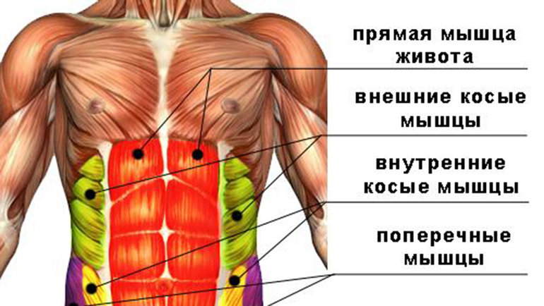 Как подкачать мышцы живота