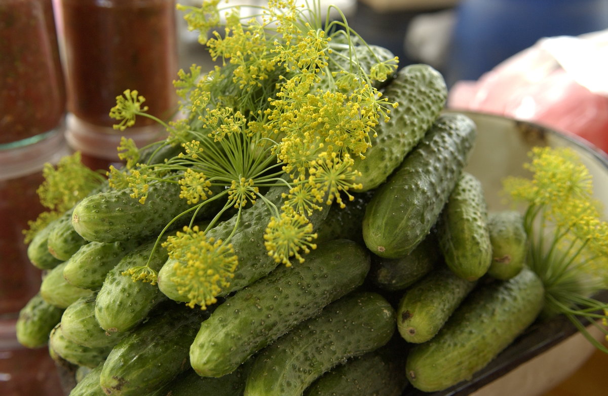 Как вкусно и полезно заготовить урожай на зиму. Спорт-Экспресс