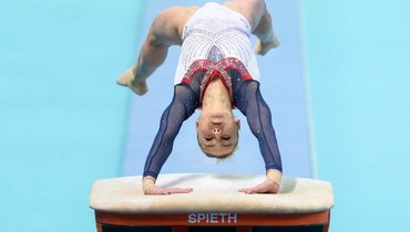 В Федерации спортивной гимнастики отреагировали на заявление Пасеки об отъезде из России