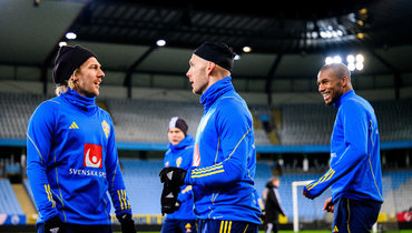 Швеция — Алжир: прогноз на товарищеский матч 19 ноября 2022 года