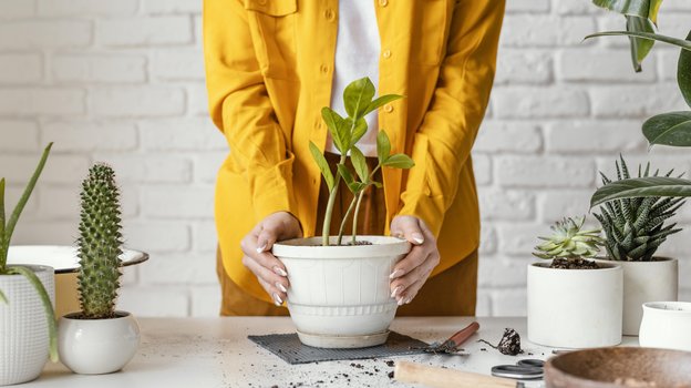Женщина в жёлтом пиджаке с комнатными растениями.