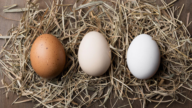 Как правильно варить яйцо, чтобы оно легко чистилось