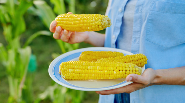 Калорийность и пищевая ценность Кукуруза сладкая, белая, вареная, с солью