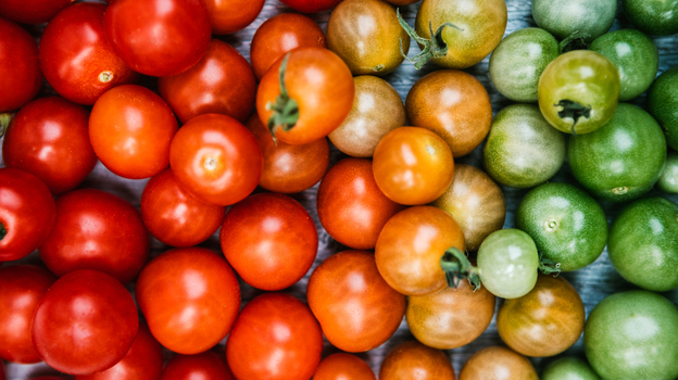 Proč jsou dušená rajčata zdravější než čerstvá