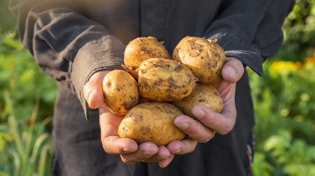 Как меняется калорийность продуктов в зависимости от способа приготовления