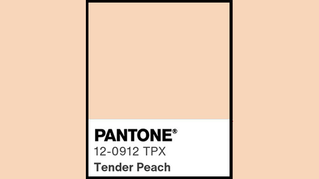 Цвет 2024 года: Peach Fuzz