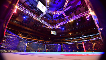 Октагон UFC.